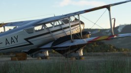 de Havilland DH-89 Dragon Rapide (5).jpg