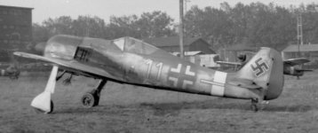 Focke-Wulf-Fw-190-Yellow-11-Napoli.jpg