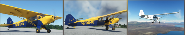 cub.png cub.png