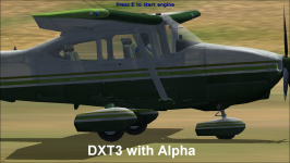 DXT3_with_Alpha.png