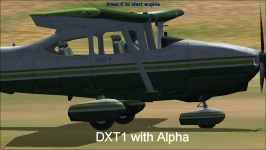 DXT1_with_Alpha.png