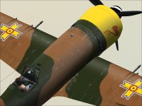 IAR80-017.jpg