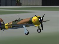 IAR80-016.jpg