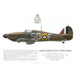 hawker-hurricane-mk-i-v7357-sgt-ginger-lacey-dfm-bar-no-501-squadron-royal-air-force-september-1.jpg