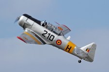 Belgium-Harvard-2-e1518067245155.jpg