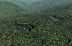 PNG_Boana-cub2.jpg