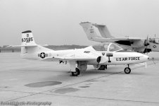 T37B_563585.jpg