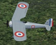 MS315_FAF40_WIP2.jpg