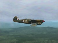 P-40 E RAAF 001.jpg