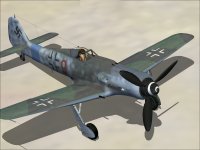 fw-190d9-003.jpg