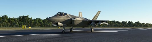 Microsoft Flight Simulator 5_27_2023 11_28_07 PM_.jpg
