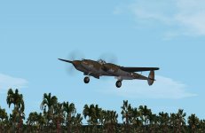 DC_P38G-13_TurtleBay_pic3.jpg