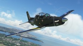 Texan-03.jpg