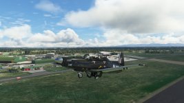 Texan-02.jpg