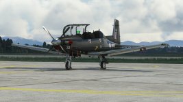 Texan-01.jpg
