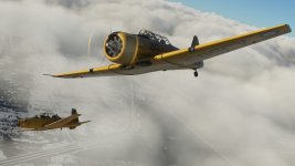 Harvard formation 5.jpg