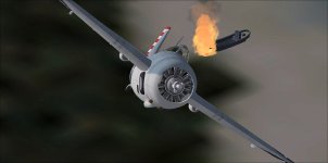 cfs2 2024-01-11 20-07-24-22.jpg