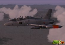 339_NEW_03.jpg