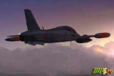 339_NEW_02.jpg