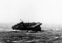 carrier three.jpg