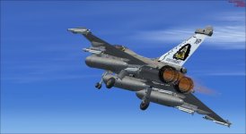 fsx 2014-07-26 10-42-47-78.jpg