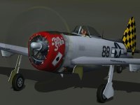 Malinowski_P47D_Curtiss_fulldisc.jpg