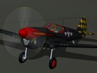 Malinowski_P40F_Curtiss_fulldisc.jpg