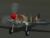 Malinowski_P40F_plain_nodisc.jpg