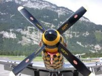 Mustang prop cuffed2.jpg
