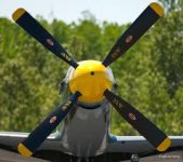 Mustang prop plain.jpg