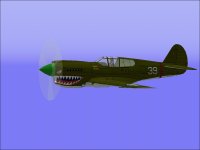 Warhawk_Wingtip.jpg