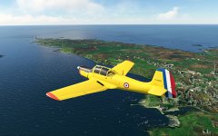 Alcyon_12.jpg Alcyon_12.jpg