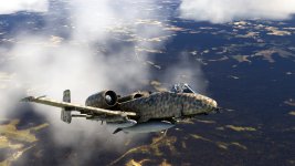 thegun_2.jpg