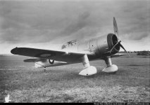 Fokker D XXI Danish Army 1937.jpg