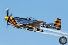 PIMOBRONCO.jpg