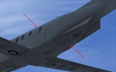 PC12_spm_01.jpg