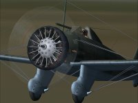P26_closein.jpg