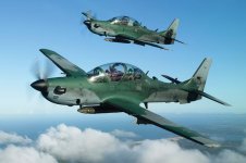 ALX_A-29_01.jpg