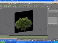 trees-gmax.jpg