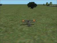 trees1-gmax.jpg