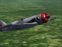 WT1.jpg