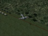treesb.jpg