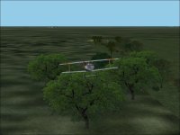 oaktree2.jpg