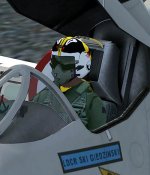 stinger_pilot2.jpg
