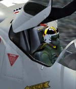 stinger_pilot.jpg