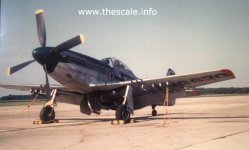 Ind P-51 Colour.jpg