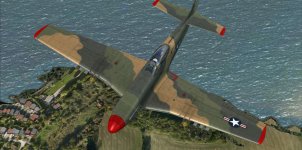 F-51D SEA 2.jpg
