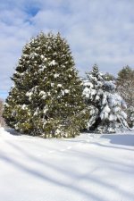 snow3.jpg