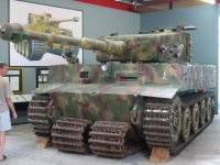 tiger_front_02.jpg