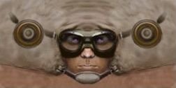 us_pilot.jpg